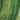 Greens