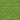Moss - (3347)