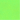 Parakeet Green