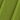 Olive Light Green