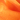Orange & Gold