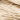 Oyster - 388