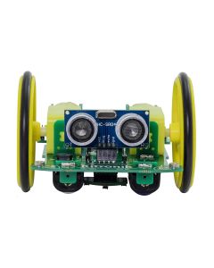 Autonomous Robotics Platform (Buggy) for Pico