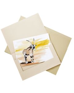 Card Portfolios