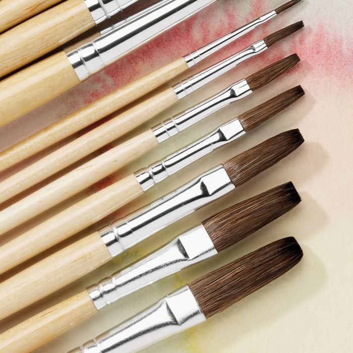 Essential Short Handled Flat Pony Brush Bulk Pack