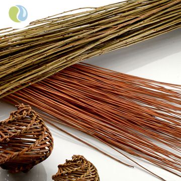 Willow Withies