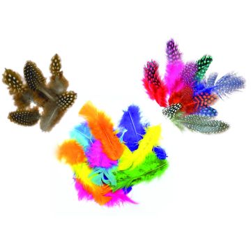Feathers Class Pack