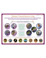 Classifying Animals Poster