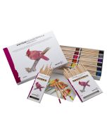 Spectrum Colour Pencil Sets