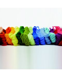 Anchor Tapisserie Wool Starter Pack