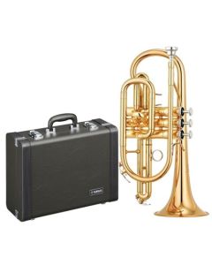 Yamaha YCR4330GII Bb Intermediate Cornet in Lacquer