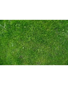 Playmats Images in Nature - Grass