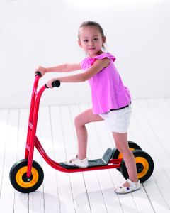 Three-wheeled Scooter