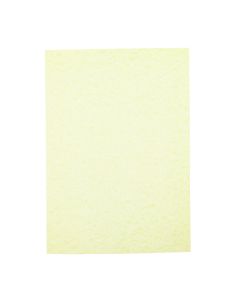 Cannes Parchment A4 220gsm - Topaz - Pack of 250