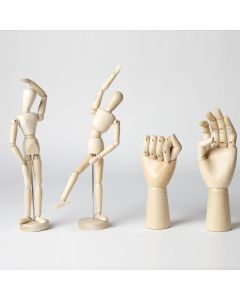 Anatomical Figures Assortment. Pack of 4