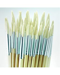 Student Short Handled Round Hog Brush Bulk Pack. Pack of 45