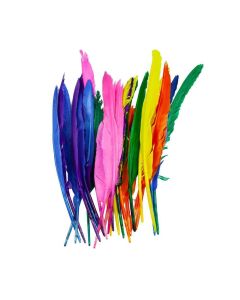 Indian Quill Feathers 30cm Assorted Colours - Pack of 25
