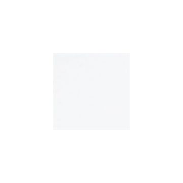 Tiziano Pastel Paper 160gsm. White. Each